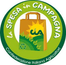 immagine articolo